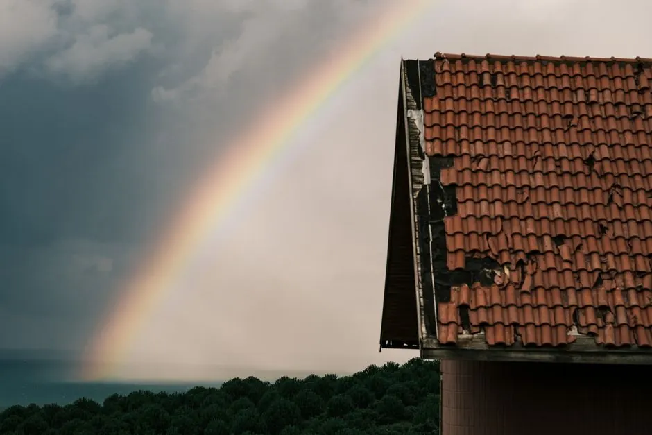 What to do if your roof has storm damage in Dallas