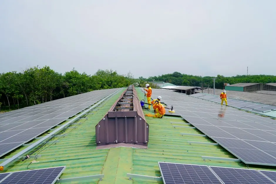 Roof Inspection